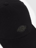 Dickies Duck Canvas Dad Black Cap