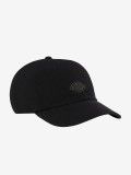 Dickies Duck Canvas Dad Black Cap