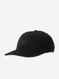 Dickies Duck Canvas Dad Black Cap